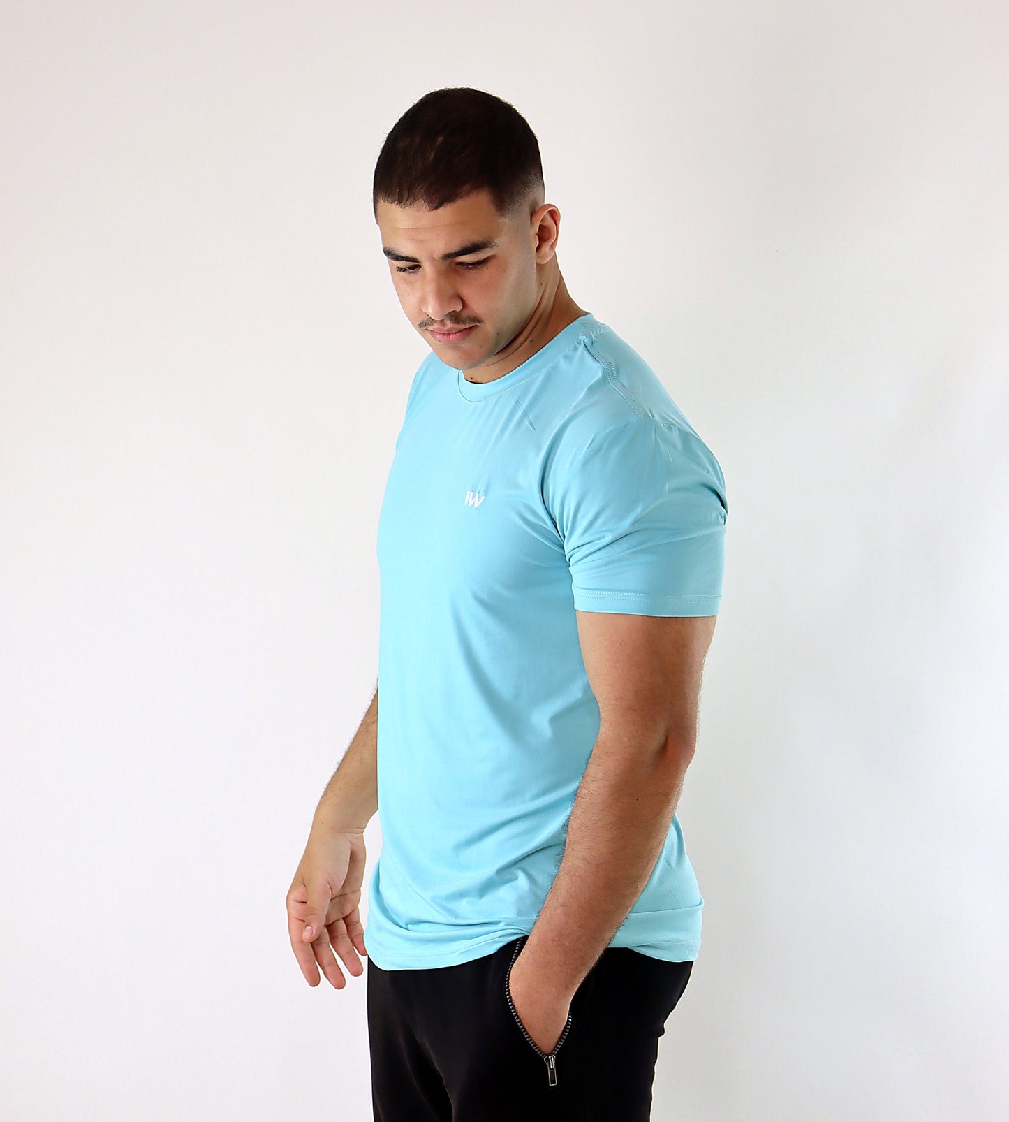 aero t-shirt inner wolf