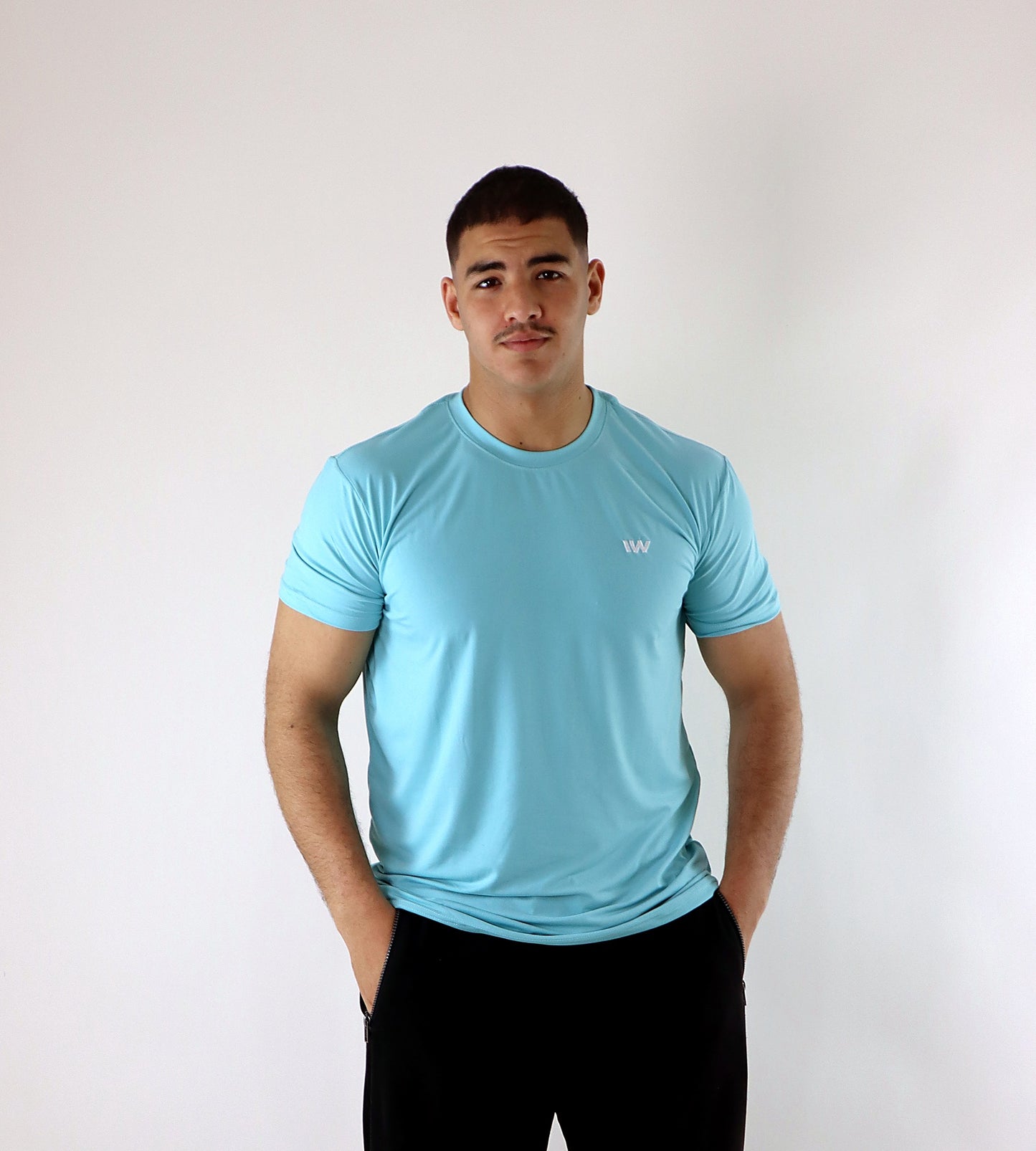 aero t-shirt inner wolf