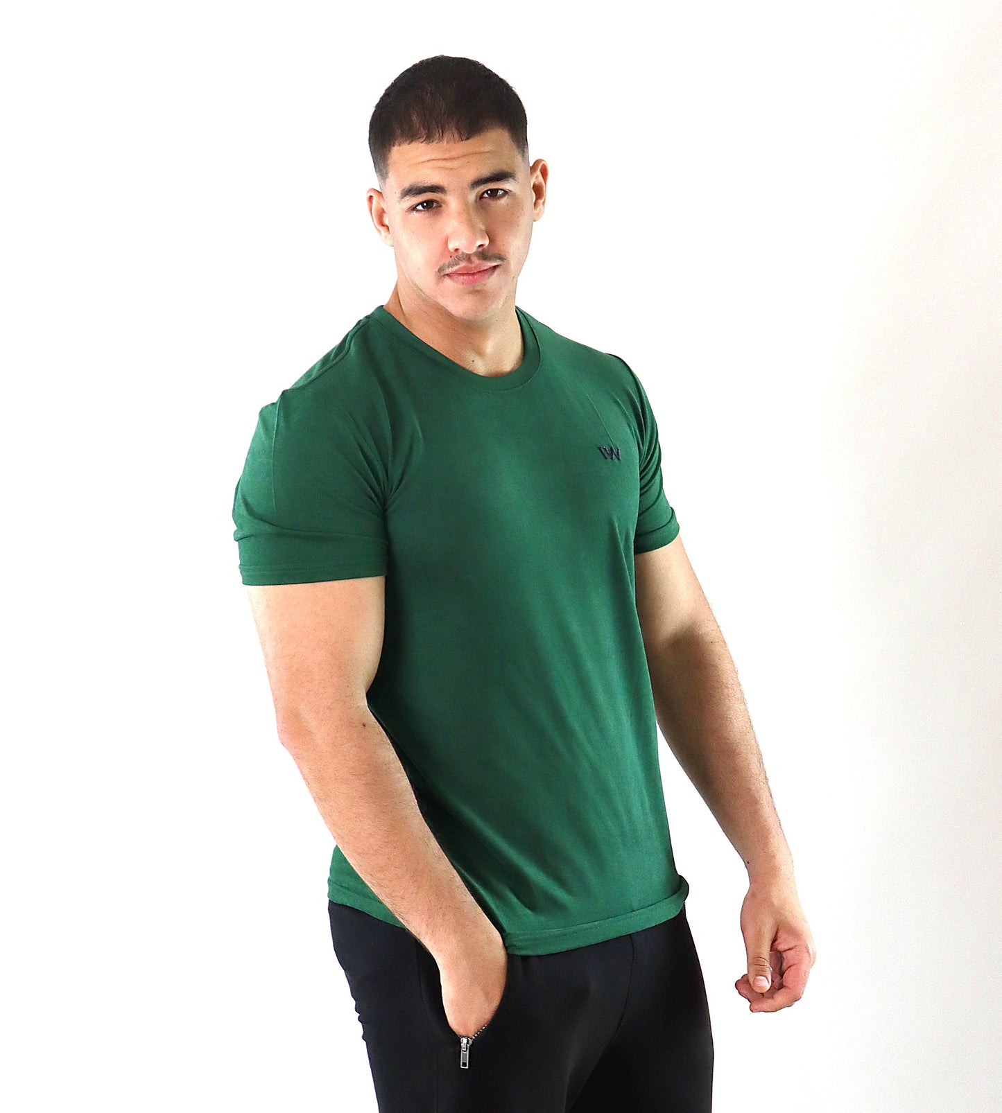 aero t-shirt inner wolf